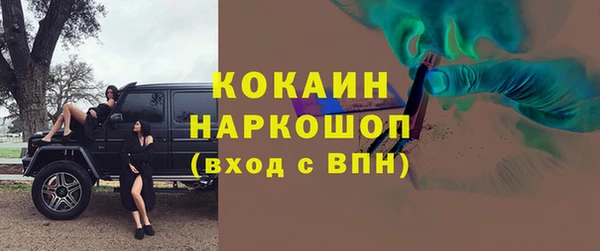 сатива Гусь-Хрустальный