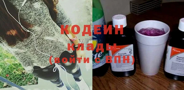хмурый Дмитровск