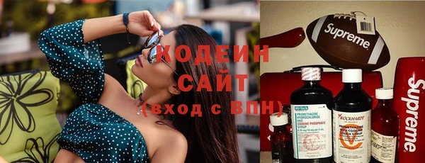 сатива Гусь-Хрустальный