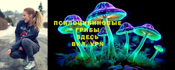 сатива Гусь-Хрустальный