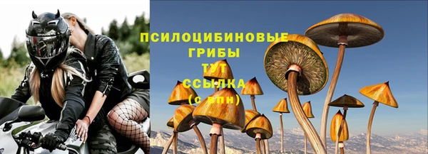 сатива Гусь-Хрустальный