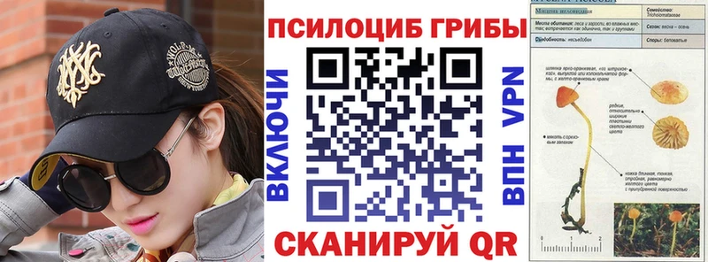 Псилоцибиновые грибы Cubensis  Купить  Кемь 